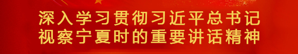 深入学习贯彻习近平总书记 视察宁夏时的重要讲话精神